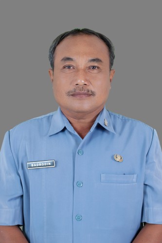 Drs. BADRODIN