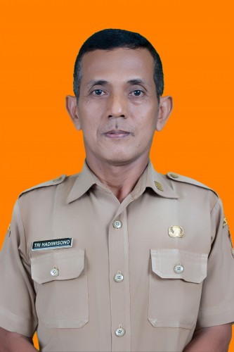 TRI HADIWISONO