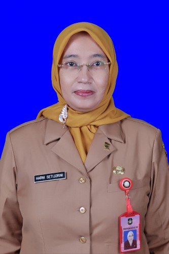 HARNI SETIJORINI S.T.