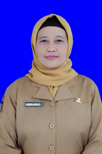 WIDHI ASTUTI ST
