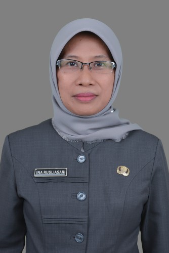 INA RUSLIASARI S.SI