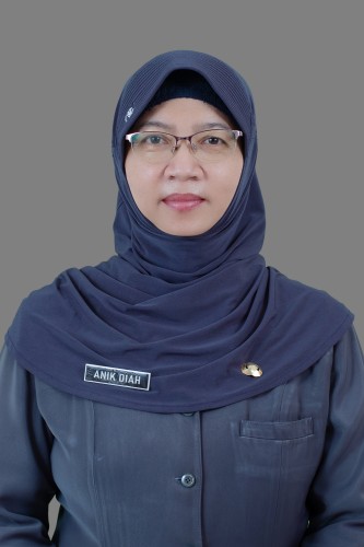 ANIK DIAH SULISTYORINI S.Pd