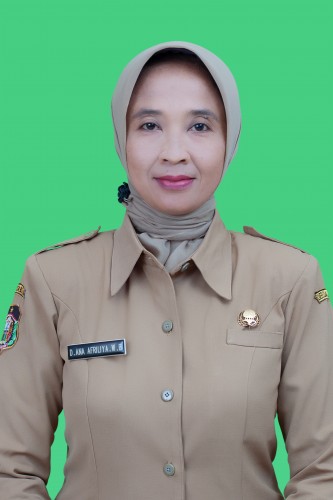 DWI ANA AFRILIYAWATI BUDIARTI S.E