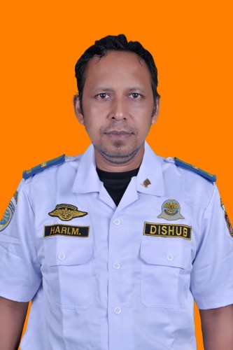 HARI MULYANTO ST