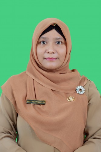 DESY WIDYANINGRUM S.Pd