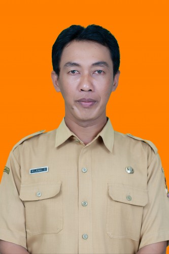 RILESA DARIANTO