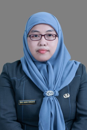 EKO AGUS NINGSIH S.Pd