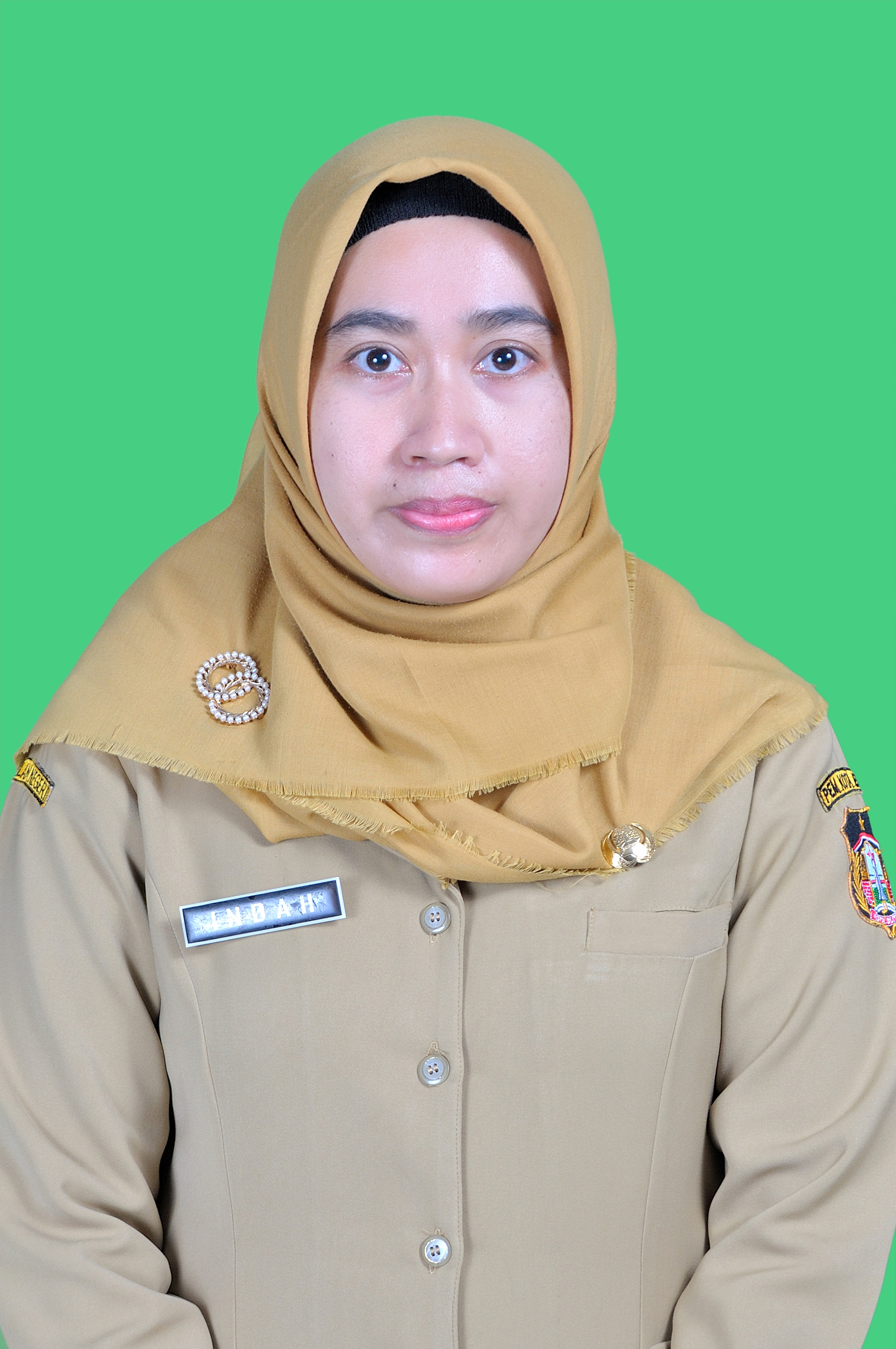 INDAH ISTRIANI S.E