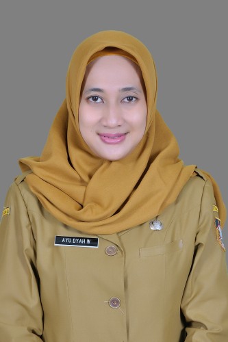 AYU DYAH WULANDARI S.AB