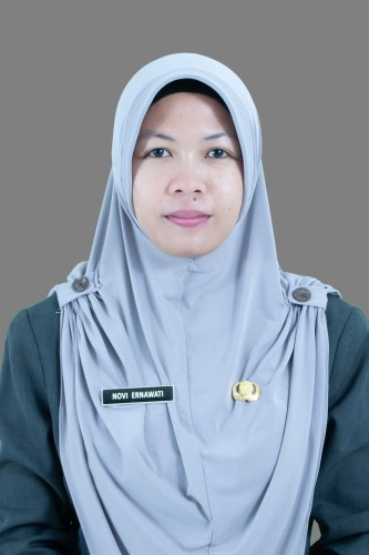 NOVI ERNAWATI S.Pd.